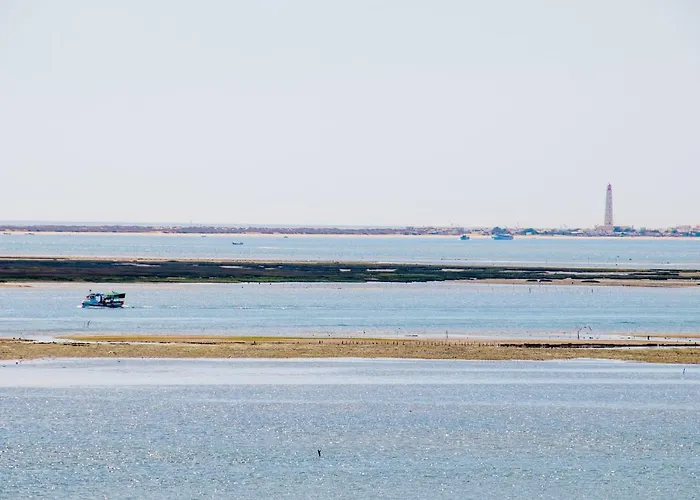 Apartment Pilot House - Village Marina *